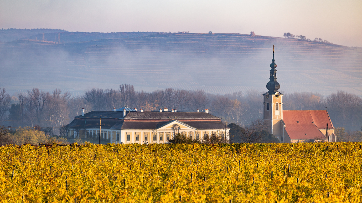 Exclusive Austrian Wine Extravaganza