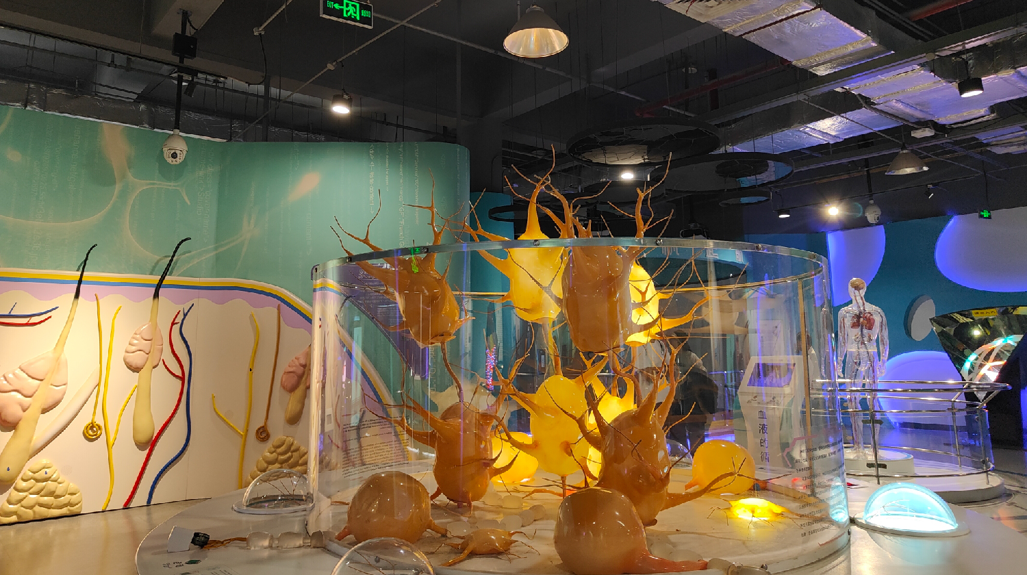 Wuhan Science and Technology Museum